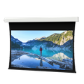 Da-Lite Tensioned Advantage Electric Projection Screen