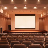Draper Access XL E Recessed Electric Projection Screen