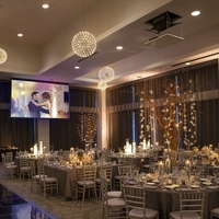 Draper Access XL V Tensioned Recessed Electric Projection Screen