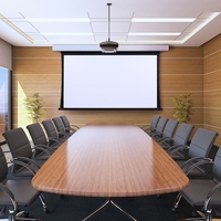 Draper Acumen V Tensioned Electric Projection Screen