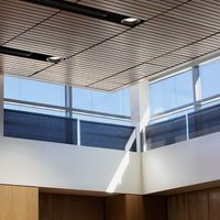 Draper Bottom-Up FlexShade&reg;