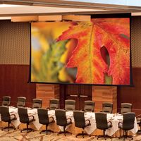 Draper Paragon V Electric Projection Screen