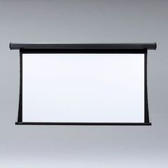 Draper Premier Series Screens