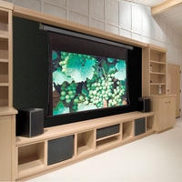 Draper Premier Tensioned Electric Projection Screen