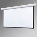 Draper Targa Electric Projection Screen
