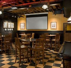 Draper Targa Electric Projection Screen