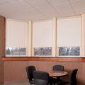 Draper Techmatic Roller Shade