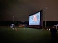 Elite Outdoor Movies 42' x 23' Inflatable Screen - Platinum-42