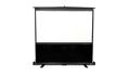 Elite Screens ezCinema 2, 110", 16:10, MaxWhite2 fabric - F110NWX2