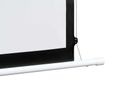 Elite Screens Manual Tab-Tension Pro 100" Diag 16:9; CineWhite P - M110HE12