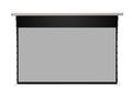 Elite Screens Starling Tab-Tension 2 CineGrey 4D AT Ambient Light Rejecting Sound Transparent Electric Screen, 106"diag.,16:9, - STT110XHD4AT-E12