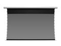 Elite Screens Starling Tab-Tension CLR3 Ceiling Light Rejecting Electric Screen, 121" diag.,16:9,- STT121XH2-CLR3