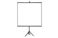 Elite Screens Tripod Lite Wall, 65", 1:1, MaxWhite® fabric - T65SW