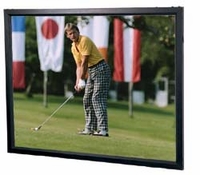 Encore 45 x 80 Home Theater Wall Screen