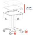 Ergotron Ergotron Mobile Desk, Fusion Maple - 24-811-F13