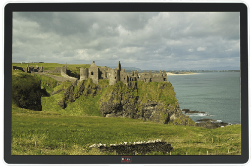 Hall Technologies 24" HD Monitor, Black, w/ built-in PC: Windows 11, Intel Core i5, 8GB Ram, 256GB SSD; includes keyboard & mouse, desk stand - HT-HV24B-PC