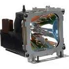 Hitachi Replacement Projector Lamp - CPX251LAMP