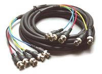 Kramer Molded 5 BNC (Male - Male) Cable (100') - C-5BM/5BM-100