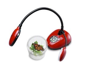 Ladibug Document Camera, Portable, Full HD 1080P, HDMI, SD Card, Audio-Video Recording - DC170