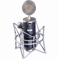 Large Diaphragm Condenser Microphones