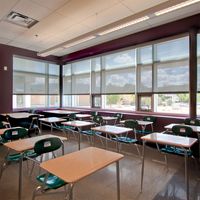 Manual Roller Shades