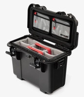 Nanuk Case T30 w/lid org, w/divider - Black - T30S-060BK-0A0