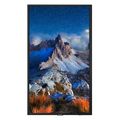 NEC 32" Professional Grade Display - PN-M322
