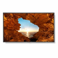NEC 48" Commercial-Grade Large Format Display - V484