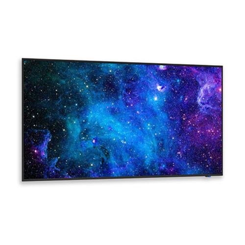 NEC 49" 4K UHD Display with Integrated ATSC/NTSC Tuner - E498