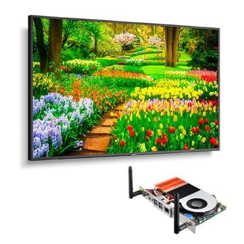 NEC 49" Ultra High Definition Professional Display with Built-In Intel PC - M491-PC5