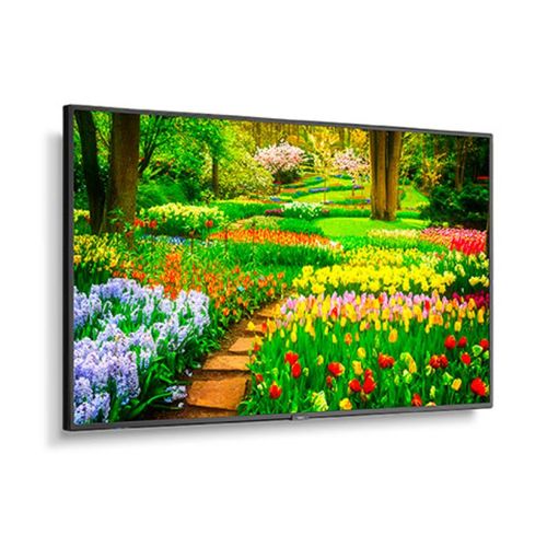 NEC 49" Ultra High Definition Professional Display with Integrated ATSC/NTSC Tuner - M491-AVT3