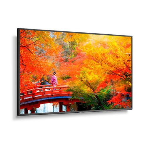 NEC 49" Wide Color Gamut Ultra High Definition Professional Display - MA491
