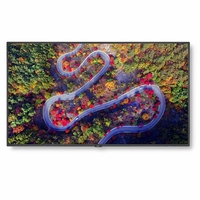 NEC 4K UHD Display with integrated ATSC/NTSC Tuner - V554Q-AVT3