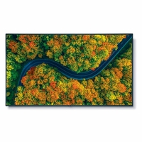 NEC 4K UHD Display with integrated ATSC/NTSC Tuner - V864Q-AVT3