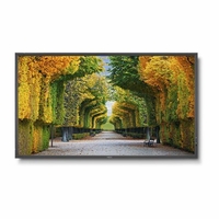 NEC 55" LED Backlit High Brightness Display - X554HB
