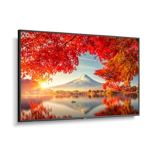 NEC 55" Wide Color Gamut Ultra High Definition Professional Display - MA551