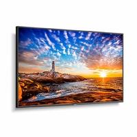 NEC 55" Wide Color Gamut Ultra High Definition Professional Display with integrated SoC MediaPlayer with CMS platform - P555-MPI4E