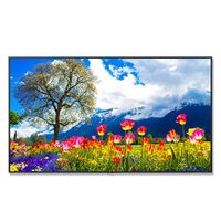 NEC 98" Ultra High Definition Professional Display - M981