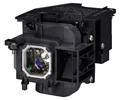 NEC NP-P401W NP-P451X NP-P451W & NP-P501X Replacement Projector Lamp - NP23LP