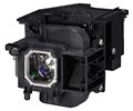 NEC NP-P401W NP-P451X NP-P451W & NP-P501X Replacement Projector Lamp - NP23LP