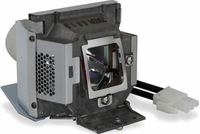 OEM Equivalent Lamp for Viewsonic RLC-047 - RLC-047