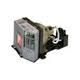 Panasonic PT-D7 Replacement Projector Lamp - ET-LAD7