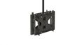 Premier Back-to-back ceiling mount for large displays up to 70.  Weight Capacity: 320 lbs.   ceiling plate and pipe not included - PCM-B2LT