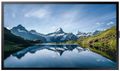 Samsung 46" P0.53mm 1920 x 1080p - OH46B-S