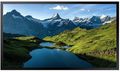 Samsung 55" P0.53mm 1920 x 1080p - OH55A-S