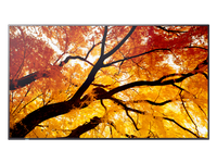 Sharp 50" Ultra High Definition Professional Display - PN-M502
