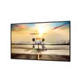 Sharp 55" Ultra High Definition Professional Display - PN-P556