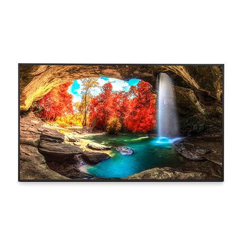 Sharp 65" Ultra High Definition Commercial Display - PN-ME652