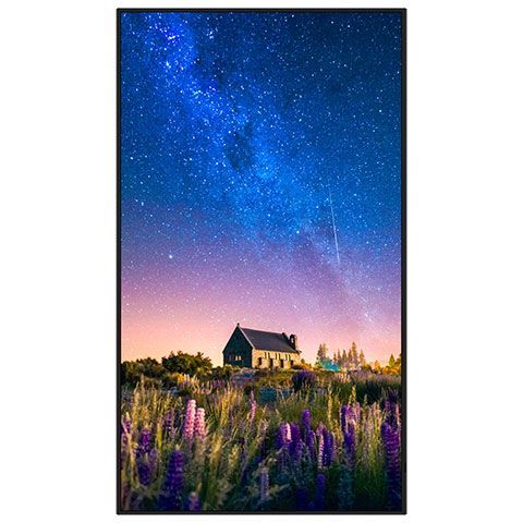 Sharp 65" Ultra High Definition Professional Display  - PN-M652