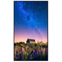 Sharp 65" Ultra High Definition Professional Display  - PN-M652